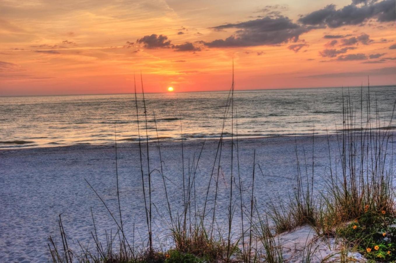 Boutique Beach Retreat St. Pete Beach Kültér fotó